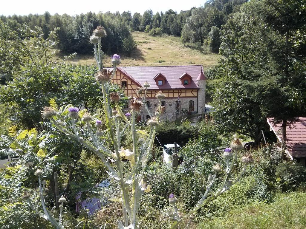 Zbójna Debra Bed and Breakfast Golejów Buitenkant foto